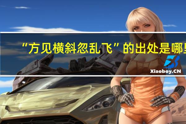 “方见横斜忽乱飞”的出处是哪里