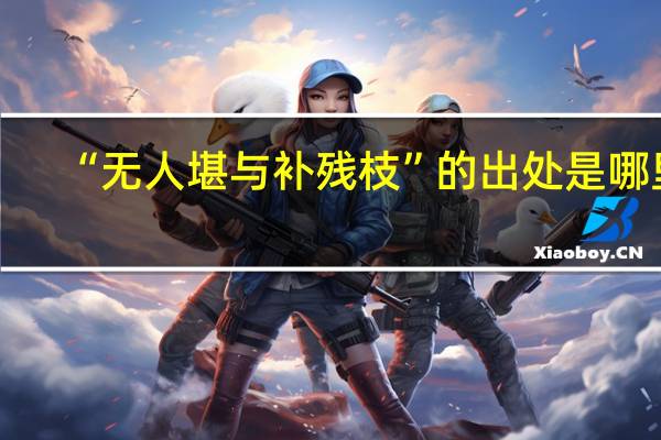 “无人堪与补残枝”的出处是哪里