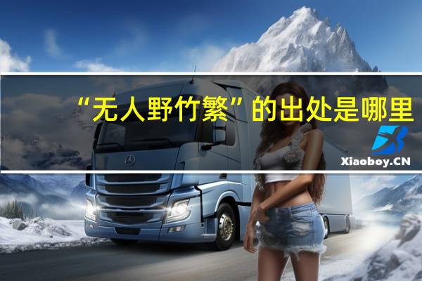 “无人野竹繁”的出处是哪里