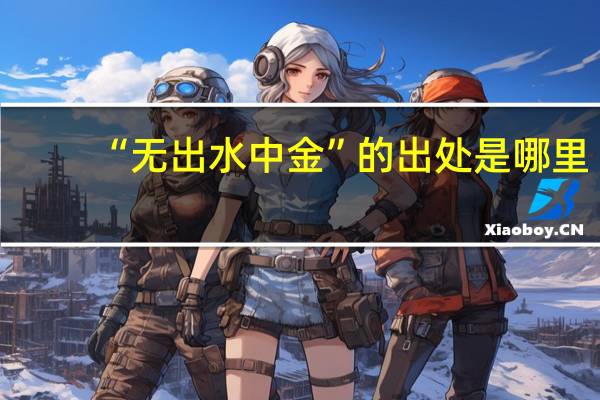 “无出水中金”的出处是哪里