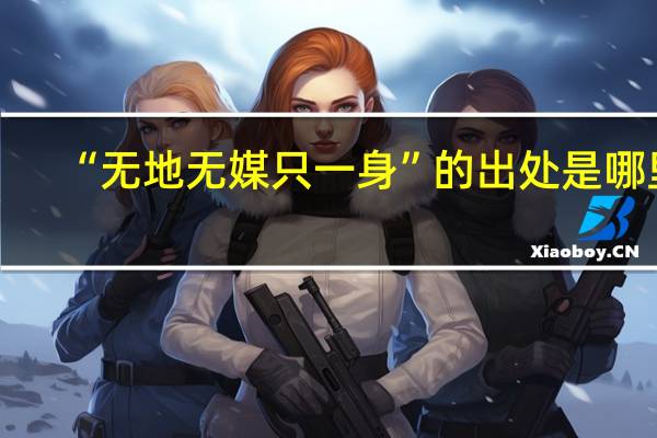“无地无媒只一身”的出处是哪里