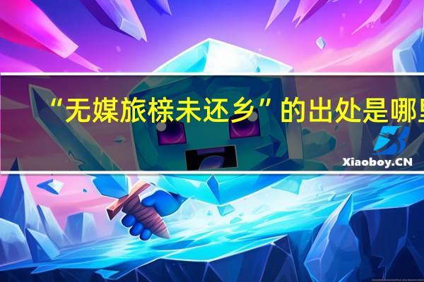 “无媒旅榇未还乡”的出处是哪里