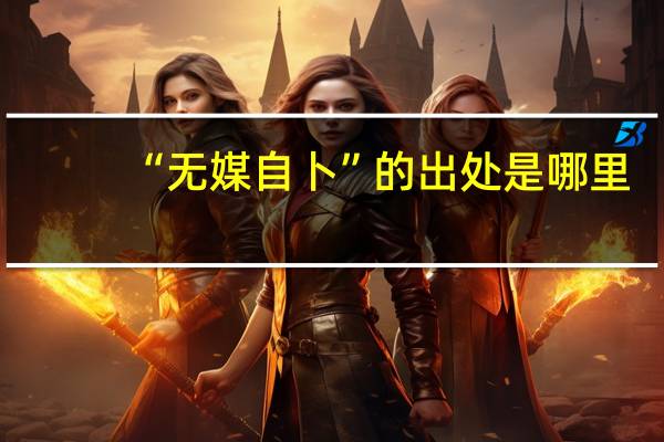“无媒自卜”的出处是哪里