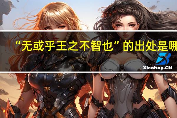 “无或乎王之不智也”的出处是哪里