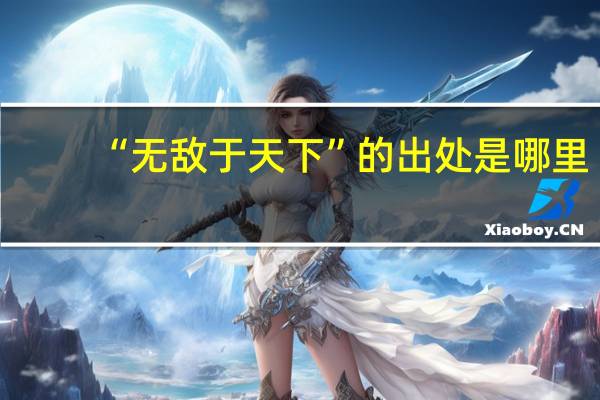 “无敌于天下”的出处是哪里