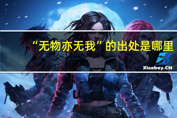 “无物亦无我”的出处是哪里