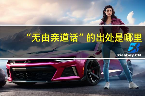 “无由亲道话”的出处是哪里