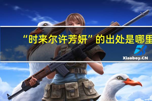 “时来尔许芳妍”的出处是哪里
