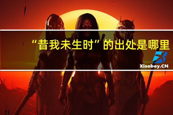“昔我未生时”的出处是哪里