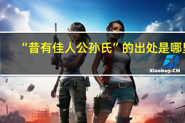 “昔有佳人公孙氏”的出处是哪里