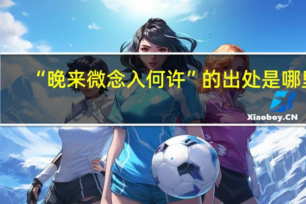 “晚来微念入何许”的出处是哪里