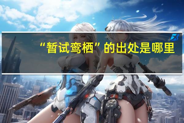 “暂试鸾栖”的出处是哪里