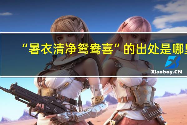 “暑衣清净鸳鸯喜”的出处是哪里