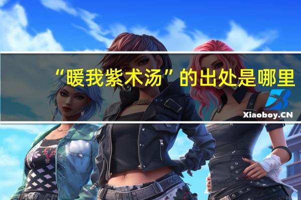 “暖我紫术汤”的出处是哪里
