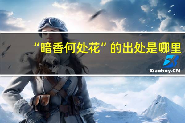 “暗香何处花”的出处是哪里
