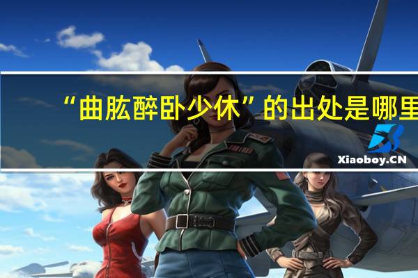 “曲肱醉卧少休”的出处是哪里