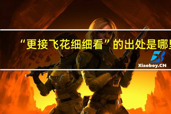 “更接飞花细细看”的出处是哪里