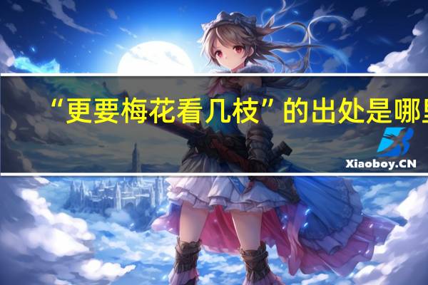 “更要梅花看几枝”的出处是哪里