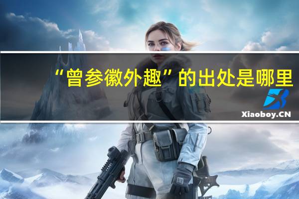 “曾参徽外趣”的出处是哪里