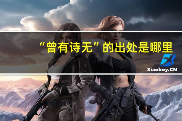 “曾有诗无”的出处是哪里
