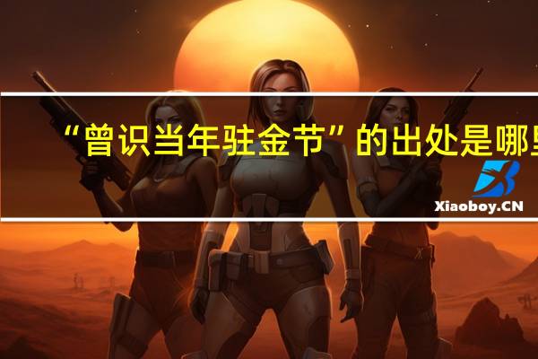 “曾识当年驻金节”的出处是哪里
