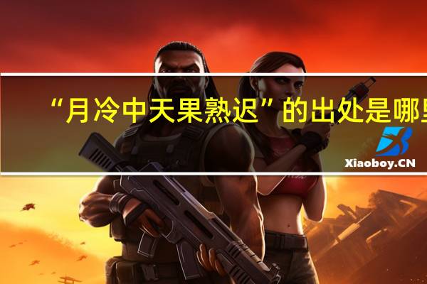 “月冷中天果熟迟”的出处是哪里