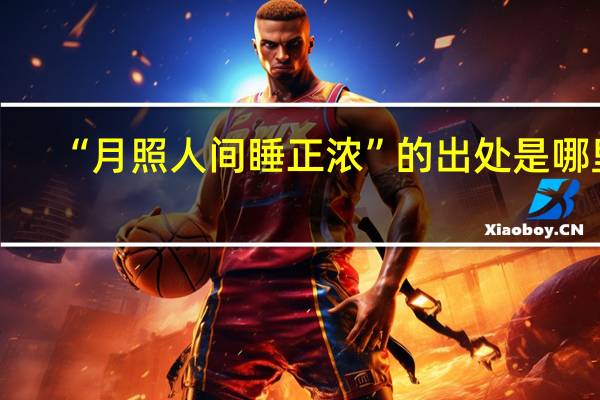 “月照人间睡正浓”的出处是哪里