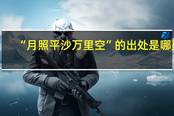 “月照平沙万里空”的出处是哪里