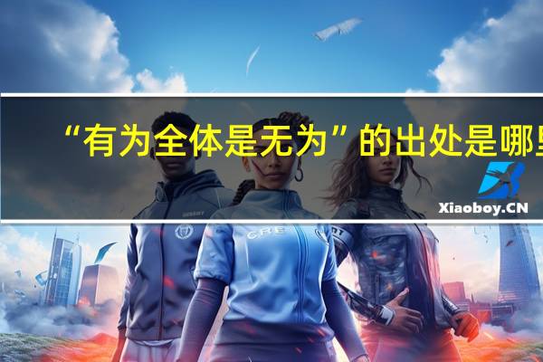 “有为全体是无为”的出处是哪里