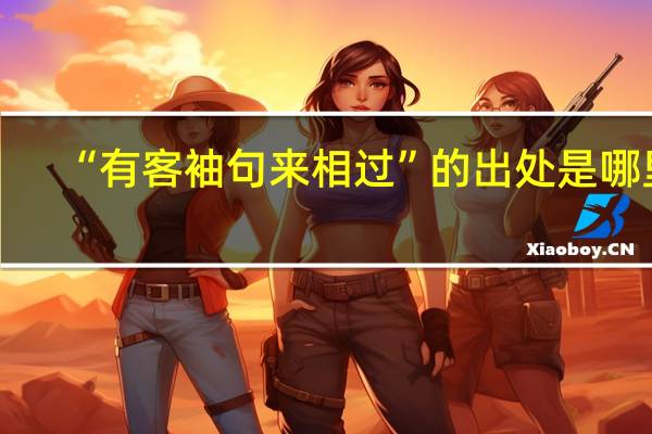 “有客袖句来相过”的出处是哪里