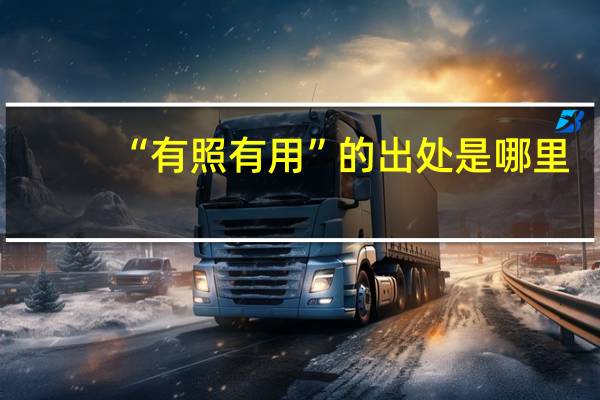 “有照有用”的出处是哪里
