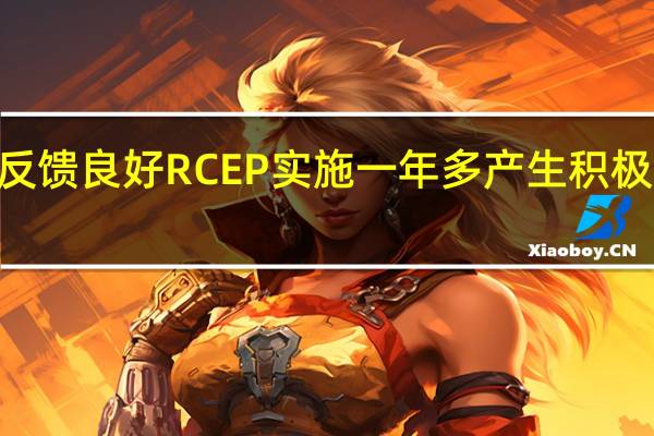 “朋友圈”反馈良好 RCEP实施一年多产生积极外溢和示范效应