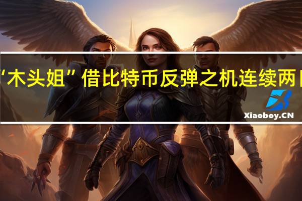 “木头姐”借比特币反弹之机连续两日套现