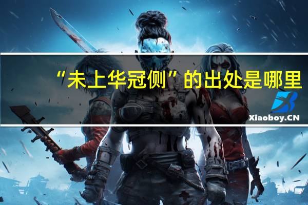 “未上华冠侧”的出处是哪里
