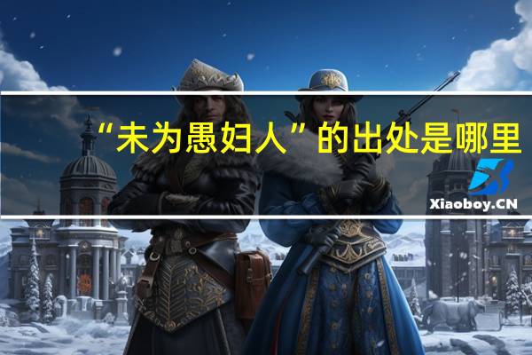 “未为愚妇人”的出处是哪里