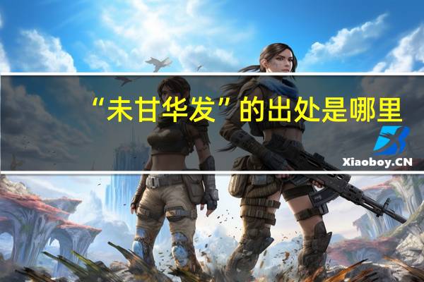 “未甘华发”的出处是哪里