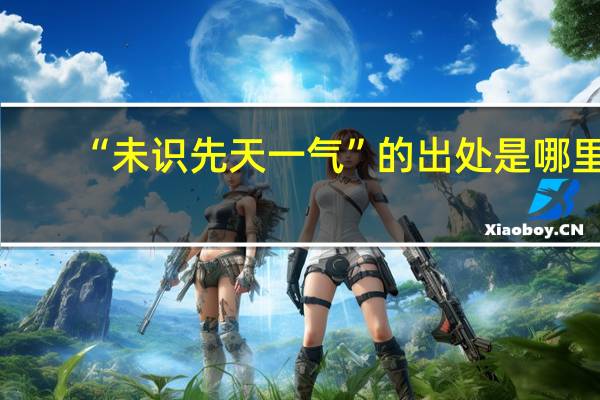 “未识先天一气”的出处是哪里