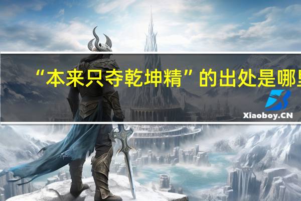“本来只夺乾坤精”的出处是哪里