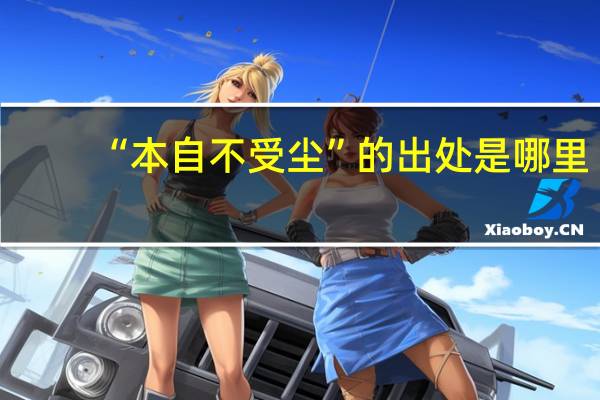 “本自不受尘”的出处是哪里