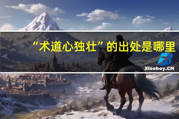 “术道心独壮”的出处是哪里