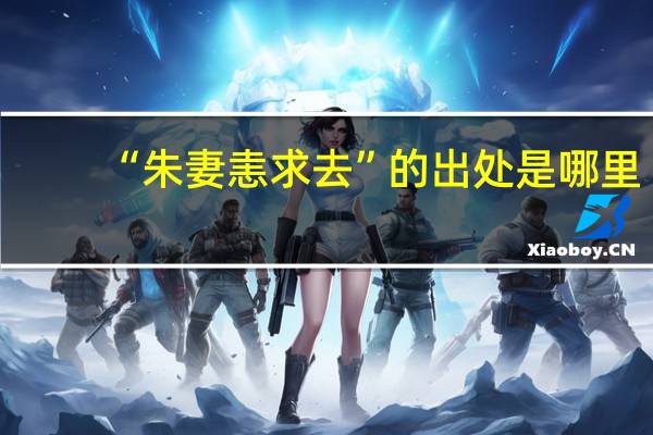 “朱妻恚求去”的出处是哪里