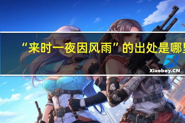 “来时一夜因风雨”的出处是哪里