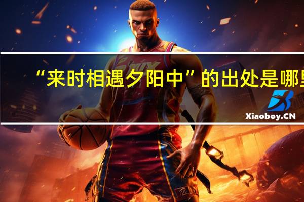“来时相遇夕阳中”的出处是哪里