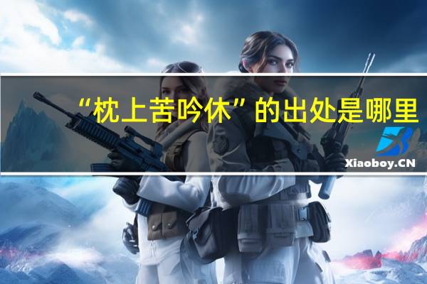 “枕上苦吟休”的出处是哪里