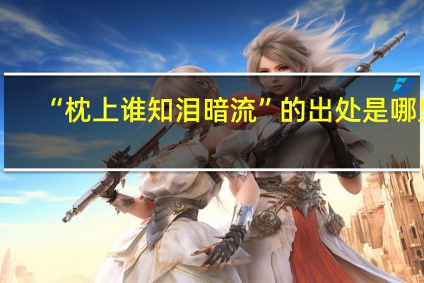 “枕上谁知泪暗流”的出处是哪里