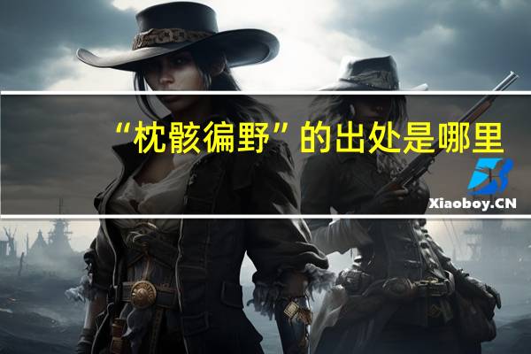 “枕骸徧野”的出处是哪里