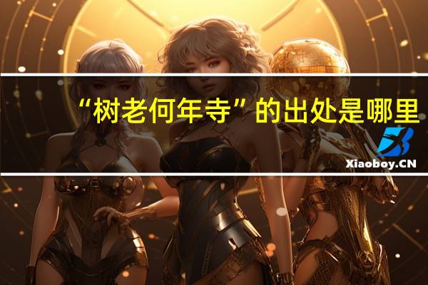 “树老何年寺”的出处是哪里