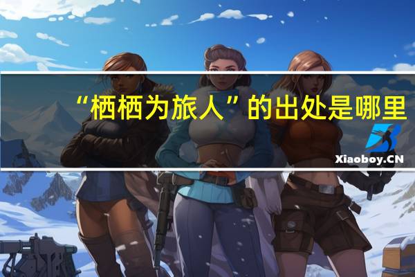 “栖栖为旅人”的出处是哪里