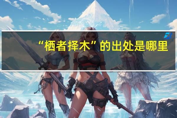 “栖者择木”的出处是哪里