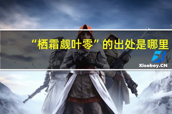 “栖霜觑叶零”的出处是哪里